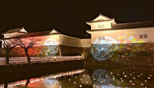 彦根城夜間ライトアップ『城あかり』のおすすめ撮影スポットを紹介！