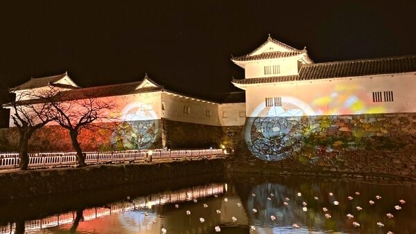彦根城夜間ライトアップ 城あかり のおすすめ撮影スポットを紹介 ひこつ