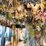 彦根市の花屋『caro angero（カーロアンジェロ）』は天井からのドライフラワーに圧巻！