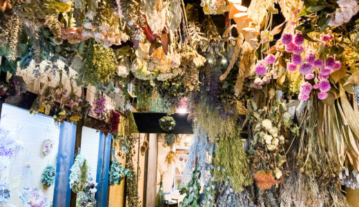 彦根市の花屋『caro angero（カーロアンジェロ）』は天井からのドライフラワーに圧巻！